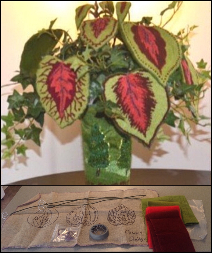 Coleus Leaves WS